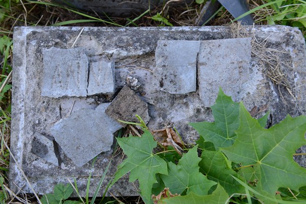 Fragment nagrobka Anny Narkiewicz, cmentarz na Rossie, stan z 2013 roku