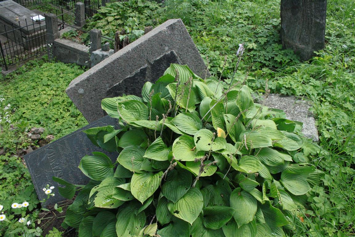 Tombstone of Jozef Bartoszewicz from the Ross Cemetery in Vilnius, as of 2013