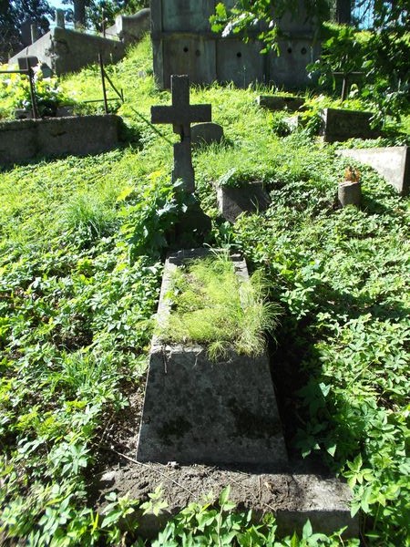 Nagrobek Stefanii Jazdowskiej, cmentarz Na Rossie w Wilnie, stan z 2013 roku