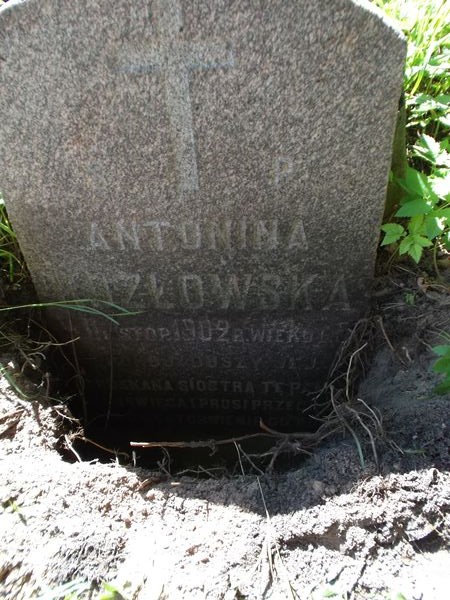 Inskrypcja z nagrobka Antoniny Kozłowskiej, cmentarz Na Rossie w Wilnie, stan z 2012 i 2013 roku