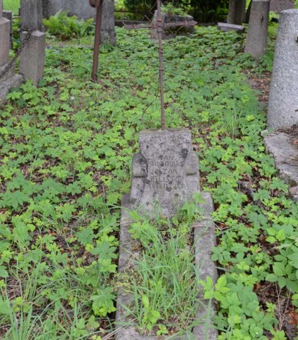 Nagrobek Jazana Grodowskiego, cmentarz na Rossie, stan z 2013 roku