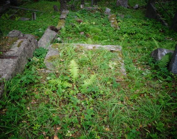 Grobowiec [...]leny [...]wikowej, cmentarz Na Rossie w Wilnie, stan z 2014 r.