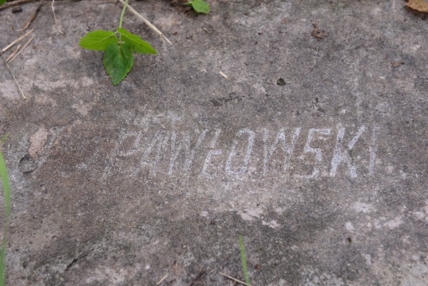 Fragment of the tombstone of Weronika Kubicka, Ross cemetery, as of 2013