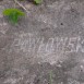 Fotografia przedstawiająca Tombstone of Weronika Kubicka