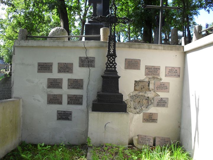 Tombstone of the Drużyłowski, Niziołomski, Antonina Mościbrodzka, Halina Rynkiewicz, Antonina Skarżyńska, Józef and Paulina Żbik families, Rossa cemetery in Vilnius, as of 2013
