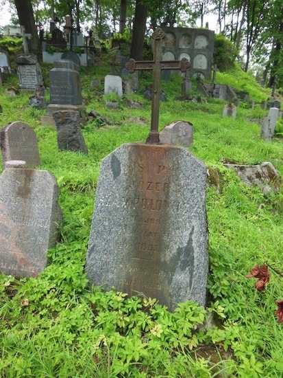 Nagrobek Józefa Szampołowicza, cmentarz Na Rossie w Wilnie, stan z 2013