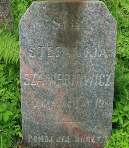 Nagrobek Stefanii Szampołowicz, cmentarz Na Rossie w Wilnie, stan z 2013