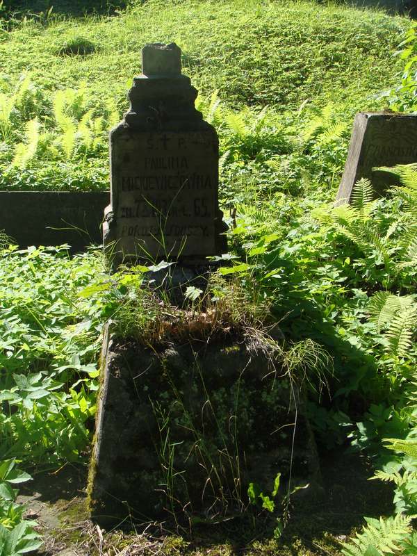 Tombstone of Paulina Mickiewicz from the Ross Cemetery in Vilnius, as of 2013