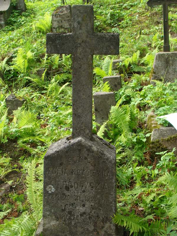 Fragment  nagrobka Zofii Stępowskiejz cmentarza na Rossie w Wilnie, stan z 2013 r.