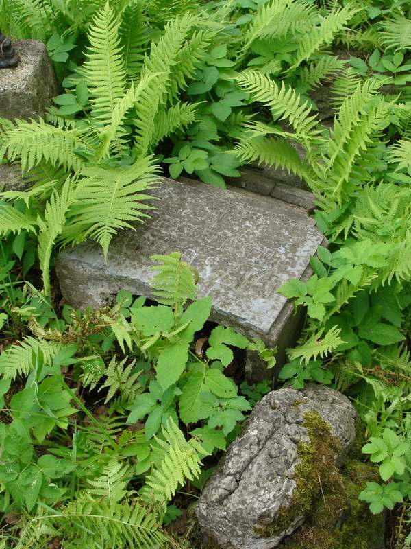 Tombstone of Mieczyslaw Ryszard Bartoszko from the Rossa cemetery in Vilnius, as of 2013