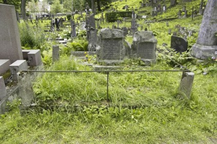 Nagrobek Julii i Władysława Pieńkowskich, cmentarz na Rossie w Wilnie, stan z 2013