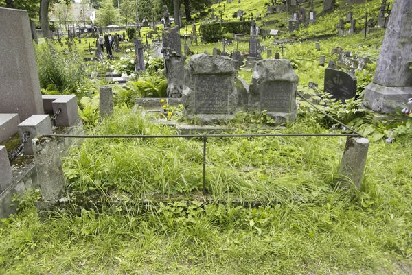 Nagrobek Julii i Władysława Pieńkowskich, cmentarz na Rossie w Wilnie, stan z 2013