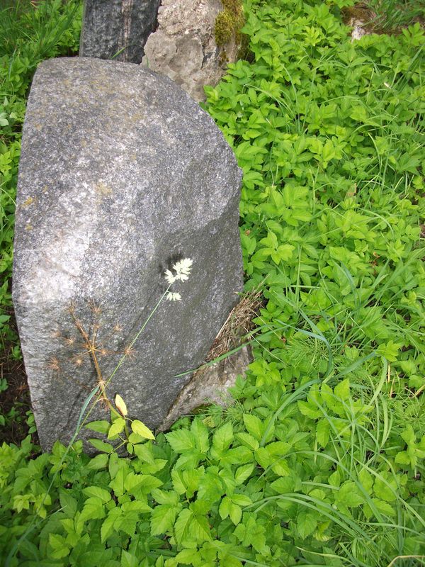 Tombstone of Pelagia Vasilevskaya, Ross cemetery in Vilnius, as of 2013.
