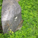 Photo showing Tombstone of Pelagia Wasilewska