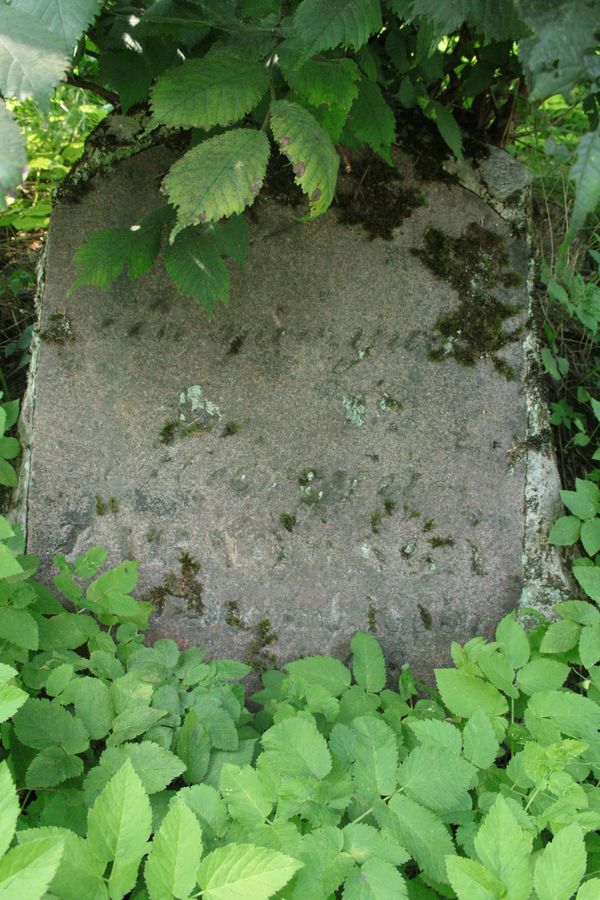 Nagrobek Marii Zarnowskiej, cmentarz Na Rossie w Wilnie, stan z 2013