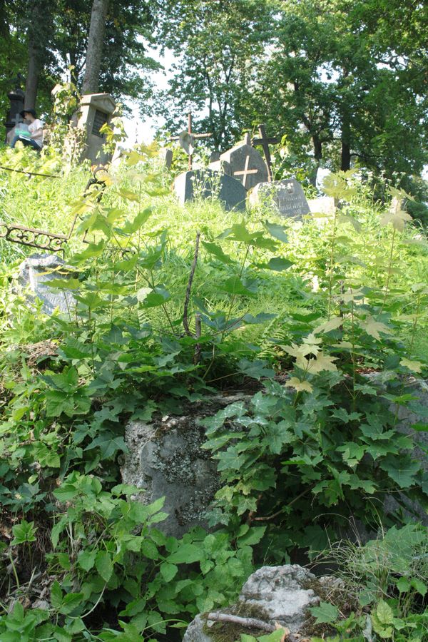Grobowiec Amalii Kuczyńskiej, cmentarz Na Rossie w Wilnie, stan z 2013