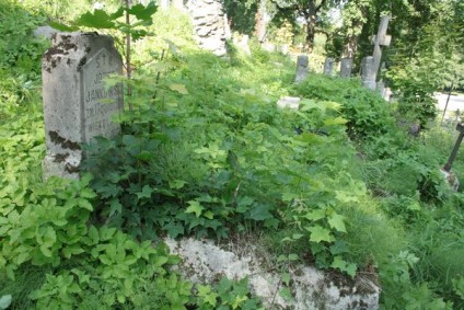 Nagrobek Józefa Jankowskiego, cmentarz Na Rossie w Wilnie, stan z 2013