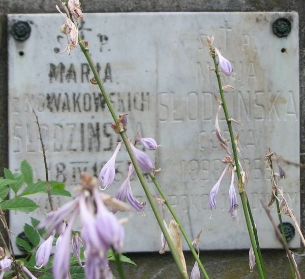 Tomb of the Johanson and Slodzinski families, Ross Cemetery in Vilnius, as of 2013.