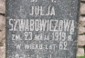 Fotografia przedstawiająca Tombstone of Julia Szwabowicz