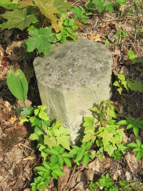 Tombstone of Antoni Malewski, Ross cemetery in Vilnius, as of 2013.