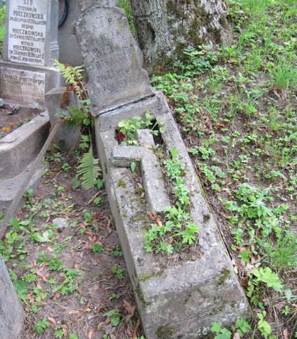Nagrobek Marii Pawłowicz, cmentarz na Rossie w Wilnie, stan z 2013 r.