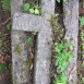 Fotografia przedstawiająca Nagrobek Marii Pawłowicz