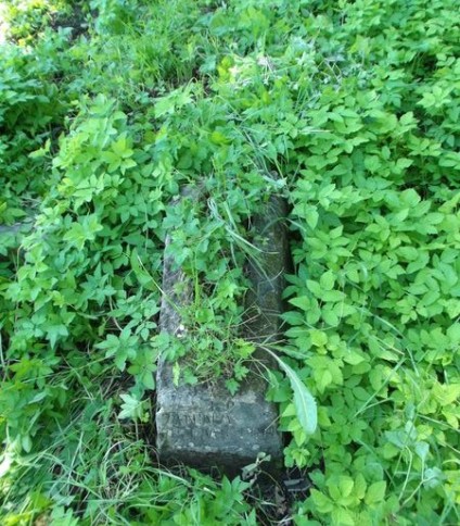 Nagrobek Janiny [J]ezemic, cmentarz Na Rossie w Wilnie, stan z 2012 roku