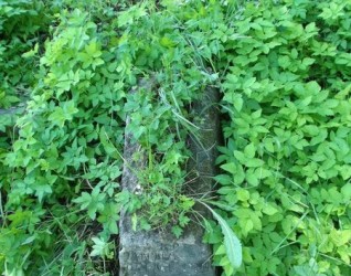 Nagrobek Janiny [J]ezemic, cmentarz Na Rossie w Wilnie, stan z 2012 roku