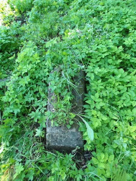 Tombstone of Janina [J]ezemic, Na Rossa cemetery in Vilnius, as of 2012