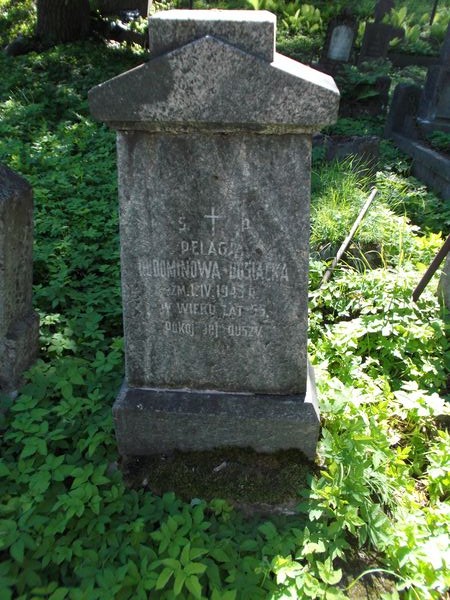 Nagrobek Pelagii Dusiackiej, cmentarz Na Rossie w Wilnie, stan z 2012 roku