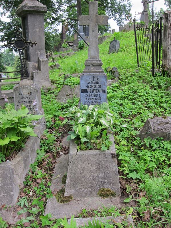 Nagrobek Antoniny Rodziewiczowej, cmentarz na Rossie w Wilnie, stan z 2013 r.