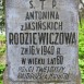 Fotografia przedstawiająca Nagrobek Antoniny Rodziewiczowej
