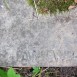 Fotografia przedstawiająca Nagrobek Antoniny Rodziewiczowej