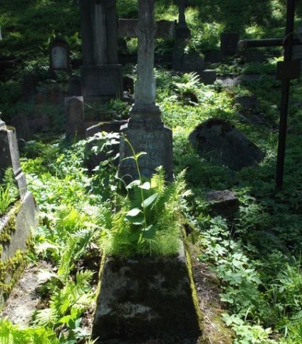 Nagrobek Tadeusza Lipnickiego, cmentarz Na Rossie w Wilnie, stan z 2012 roku