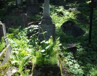 Nagrobek Tadeusza Lipnickiego, cmentarz Na Rossie w Wilnie, stan z 2012 roku