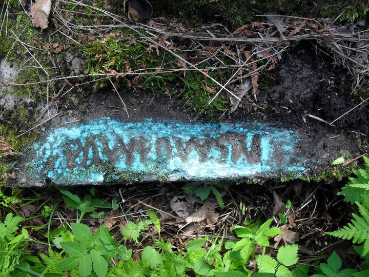 Signature from the tombstone of Tadeusz Lipnicki, Na Rossie cemetery in Vilnius, as of 2014