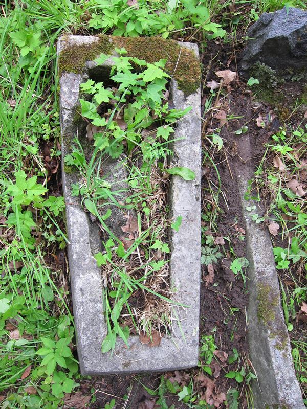 Tombstone of Jadzia Pankiewicz, Ross cemetery in Vilnius, as of 2013.