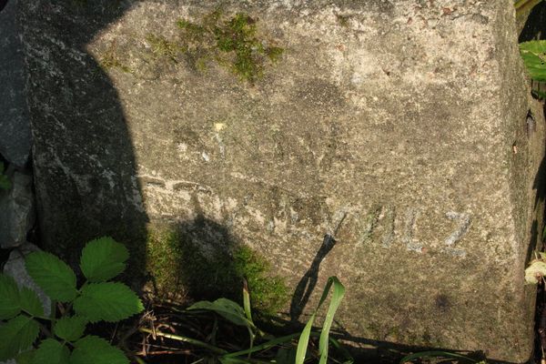 Tombstone of Anna Pietkiewicz, Na Rossie cemetery in Vilnius, as of 2013