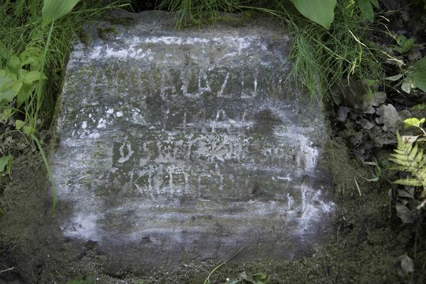 Inskrypcja na nagrobku Anny N.N., cmentarz na Rossie w Wilnie, stan z 2013