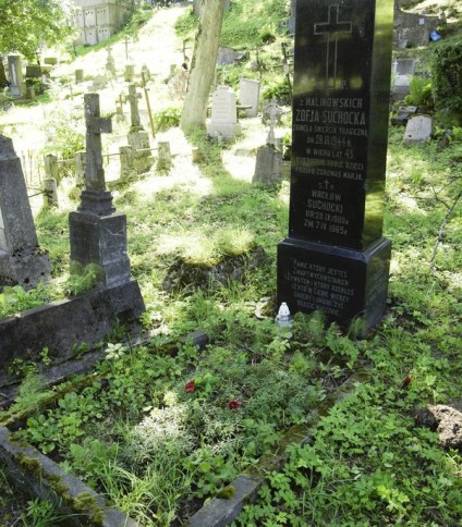Nagrobek Zofii, Tadeusza i Wacława Suchockich, cmentarz na Rossie w Wilnie, stan z 2013