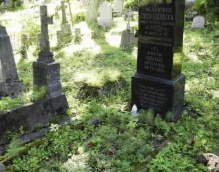 Nagrobek Zofii, Tadeusza i Wacława Suchockich, cmentarz na Rossie w Wilnie, stan z 2013