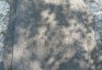 Fotografia przedstawiająca Nagrobek Juliusza i Julianny Rodziewiczów