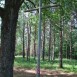 Photo montrant Cemetery of Polish soldiers killed between 1914 and 1918