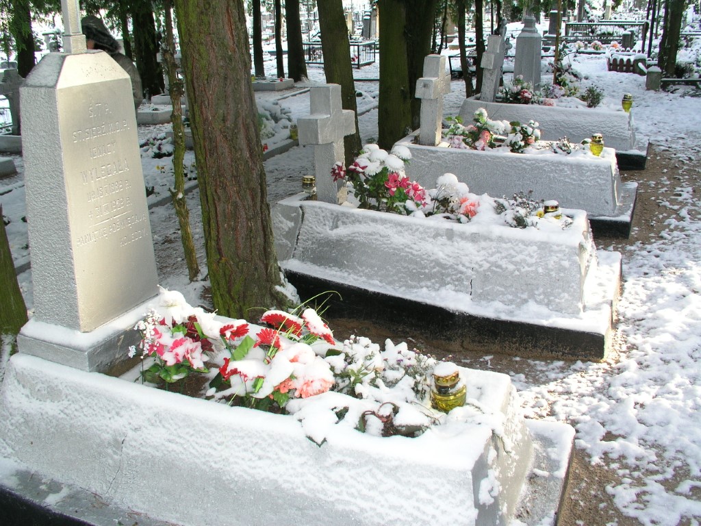 Graves of Border Protection Corps soldiers in the cemetery