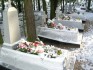 Fotografia przedstawiająca Graves of Border Protection Corps soldiers in the cemetery