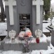 Альтернативний текст фотографії