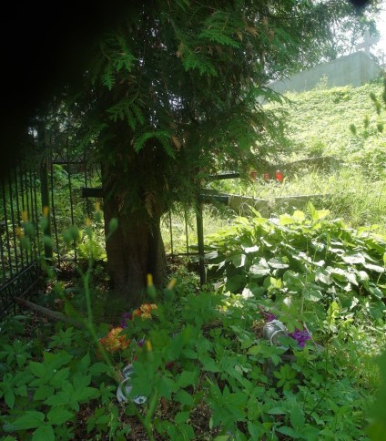 Nagrobek Leona Sokolowa, cmentarz Na Rossie w Wilnie, stan z 2015 r.