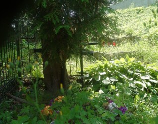 Nagrobek Leona Sokolowa, cmentarz Na Rossie w Wilnie, stan z 2015 r.