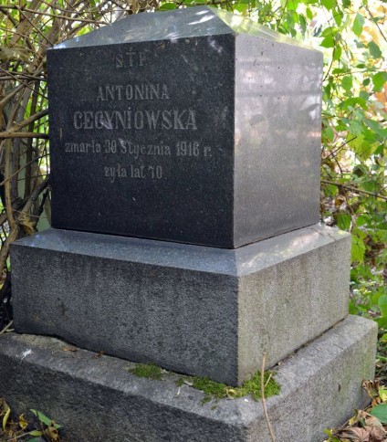 Nagrobek Antoniny Cecyniowskiej