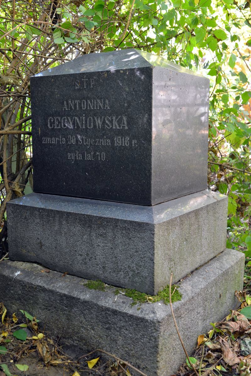 Tombstone of Antonina Cecyniowska